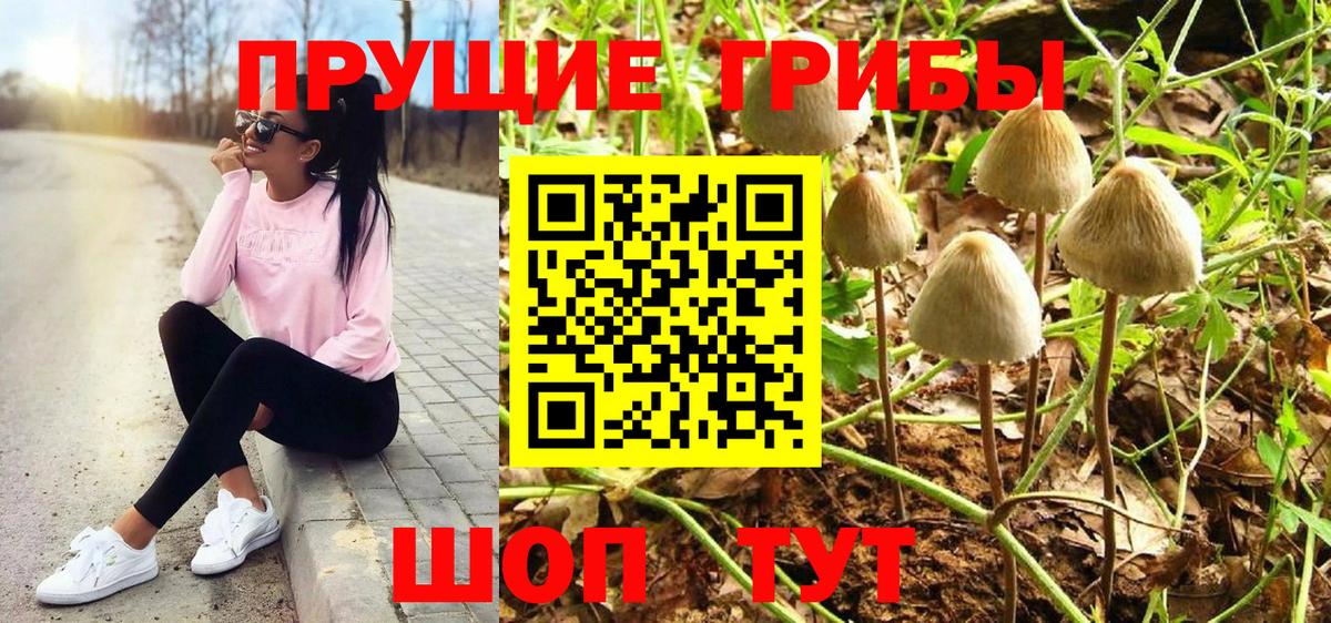 Псилоцибиновые грибы мицелий  где купить наркотик  Вход с VPN  Острогожск  Галлюциногенные грибы мухоморы 